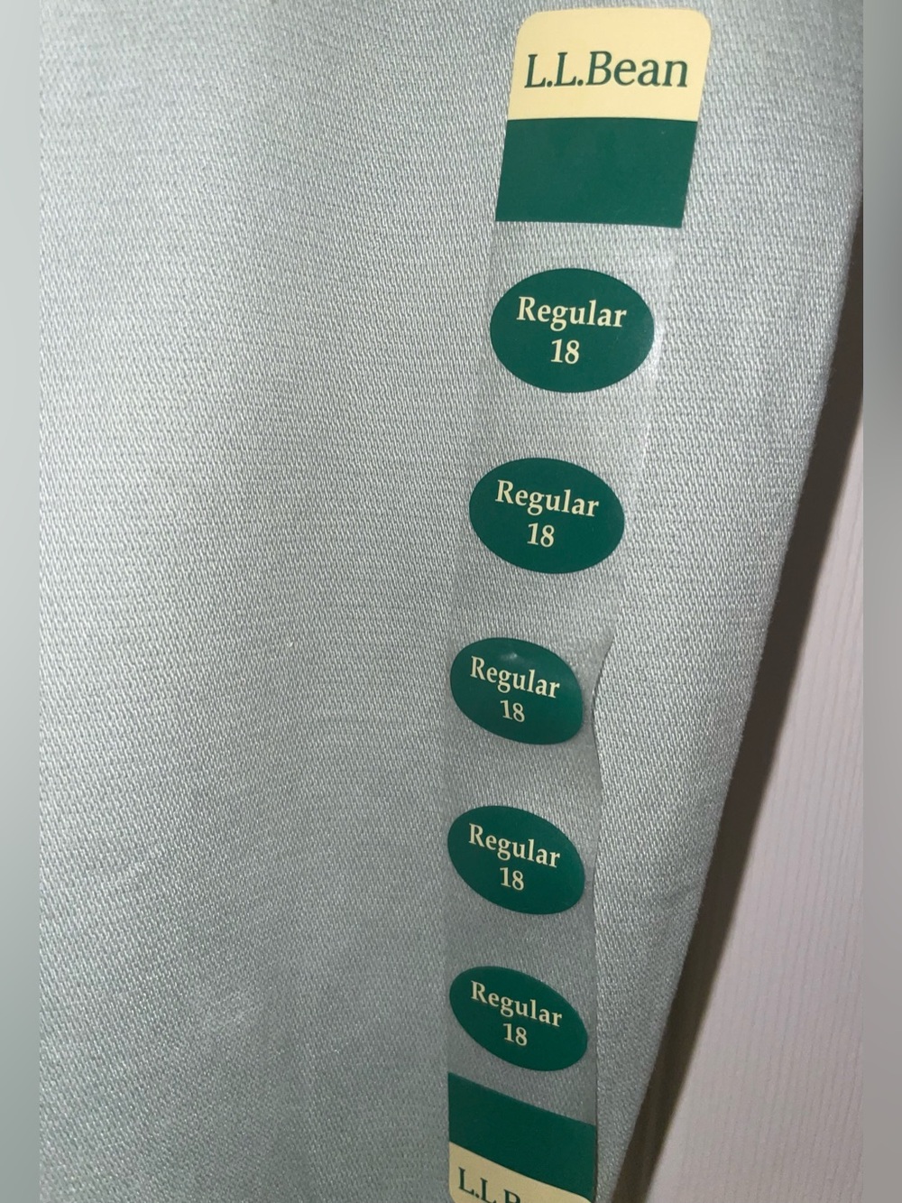 L.L. Bean Comfort Stretch in Color
Faded Sage - Picture 4 of 4